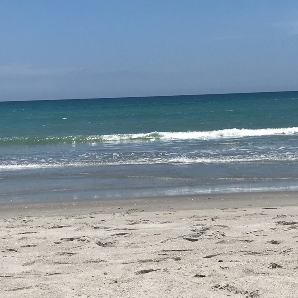 Meet your Posher, Chelsea